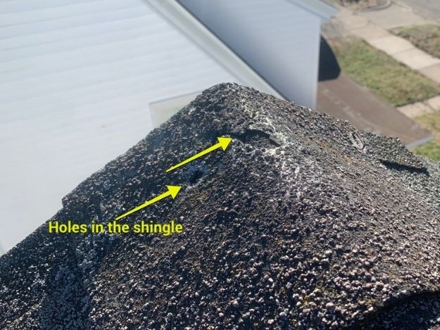 Roof Repair